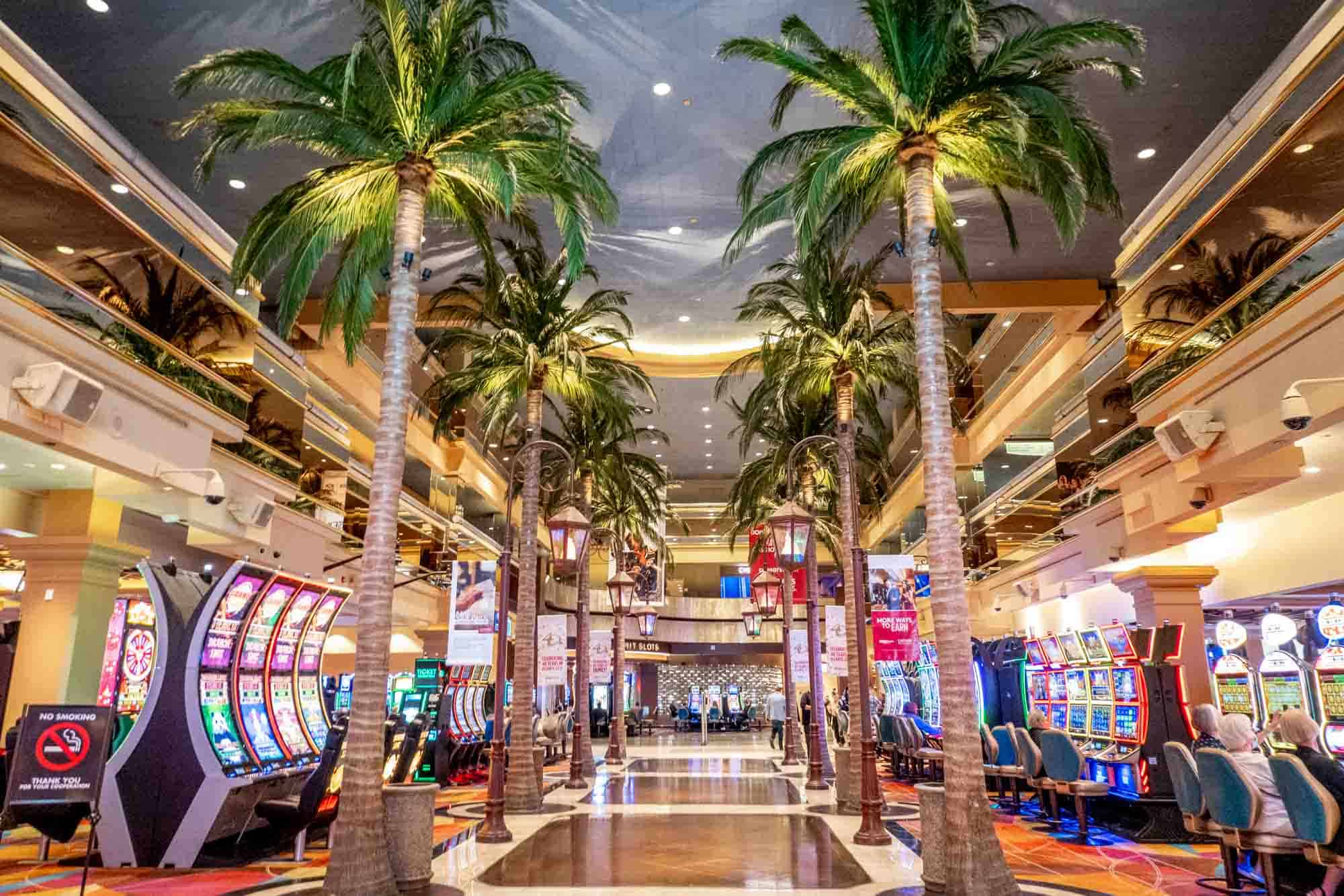 Canlı Casino Tutkunu Ayşe'nin Büyük Dönüşümü