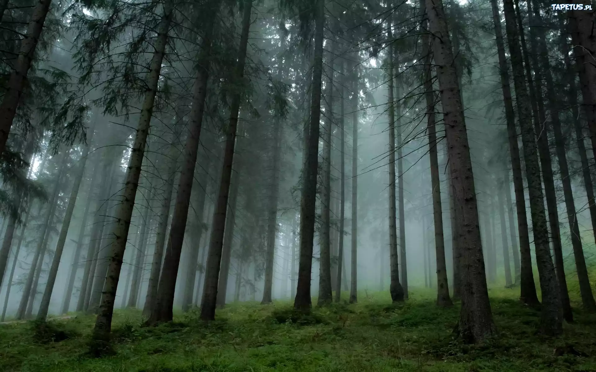 Kazanç Potansiyelini Maksimize Etmek: Stratejik Yaklaşımlar